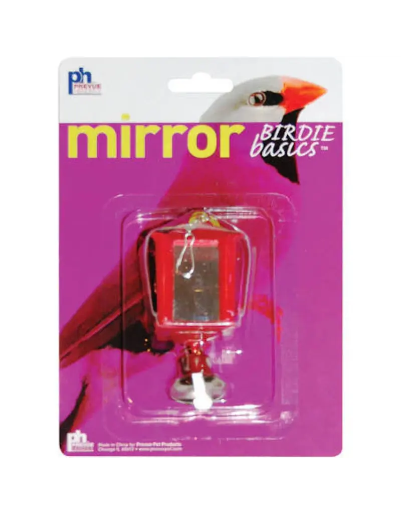 JW Lantern Mirror Bird Toy