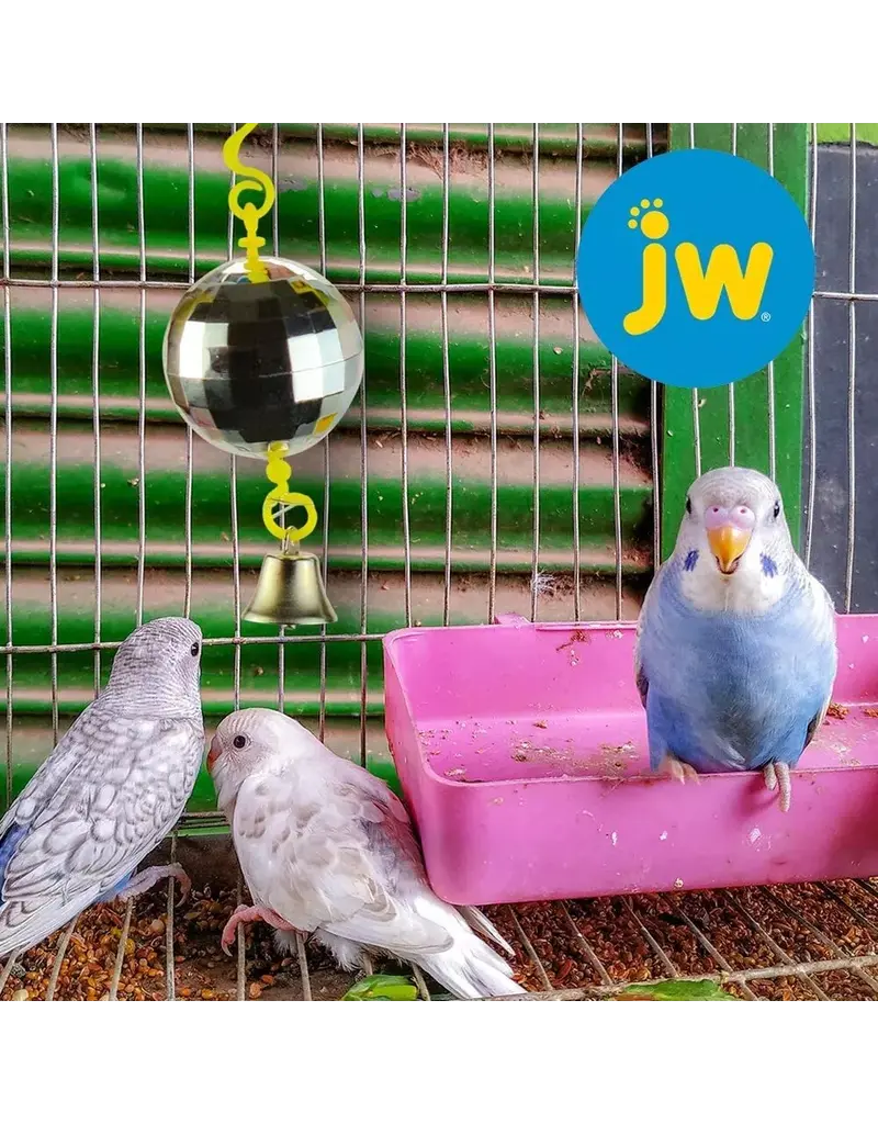 JW JW Activitoys Disco Ball Bird Toy