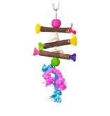 Prevue Pet Tropical Teasers Shells and Sticks Bird Toy