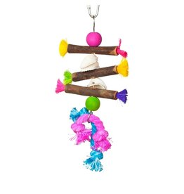 Prevue Pet Tropical Teasers Shells and Sticks Bird Toy