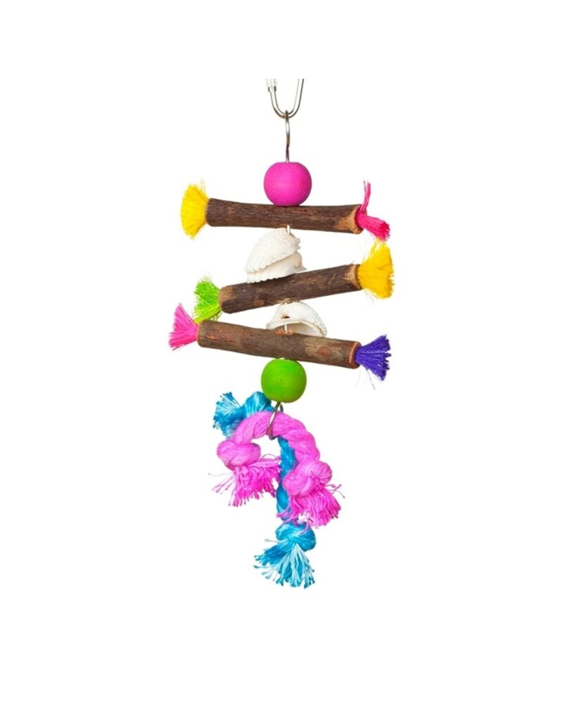 Prevue Pet Tropical Teasers Shells and Sticks Bird Toy