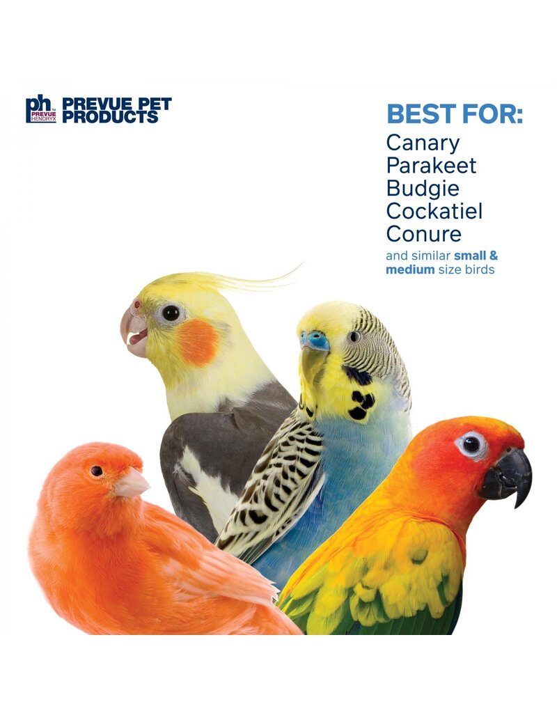 Prevue Pet Prevue Pet Laundry Day Bird Toy