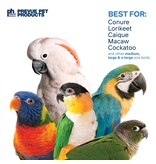 Prevue Pet Prevue Pet Tower Bird Toy 6X6X21