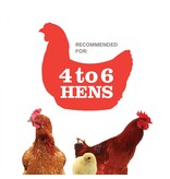 Prevue Pet Prevue Red Barn Chicken Coop 72x36x39 In