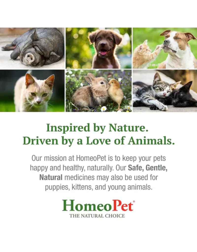 Homeo Pet HomeoPet Avian Nose Relief 15 ml