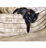 Bowsers Pet Products Bowser Himalayan Blanket Topper