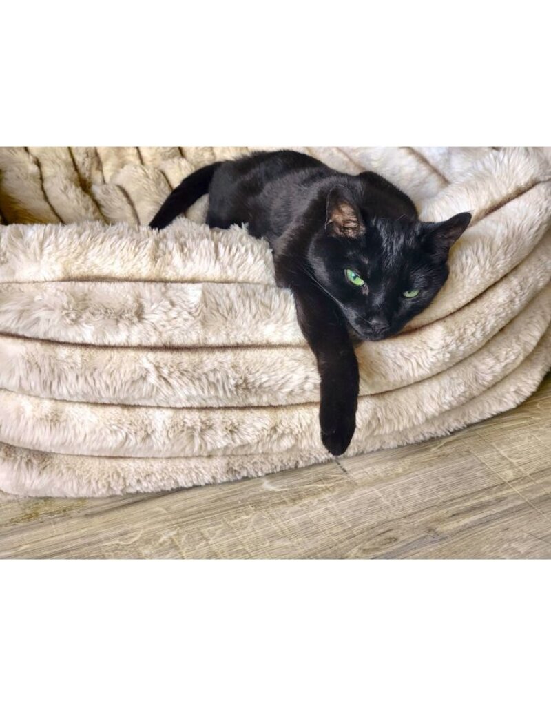 Bowsers Pet Products Bowser Himalayan Blanket Topper