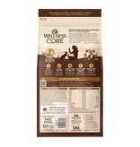 Wellness Wellness Core Original Turkey & Chicken Recipe Dry Cat Food