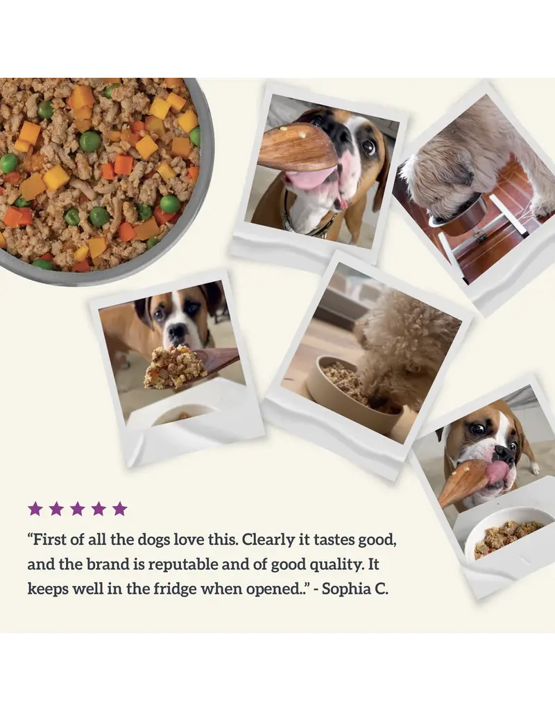 Health Extension Health Extension Gently Cooked Salmon Recipe Dog Food