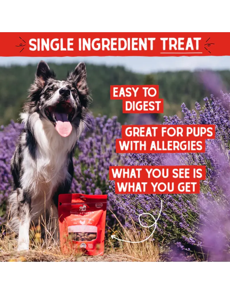 Stella & Chewys Stella & Chewy's Freeze Dried Raw Chicken Hearts Dog Treat 3 Oz