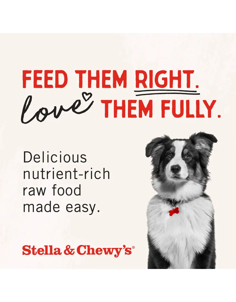 Stella & Chewys Stella & Chewy's Freeze Dried Raw Beef Heart Dog Treats 3oz