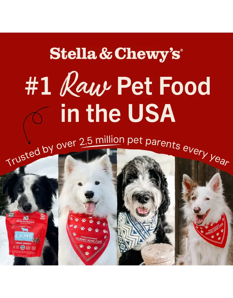 Stella & Chewys Stella & Chewy's Freeze Dried Raw Puppy Chicken and Salmon