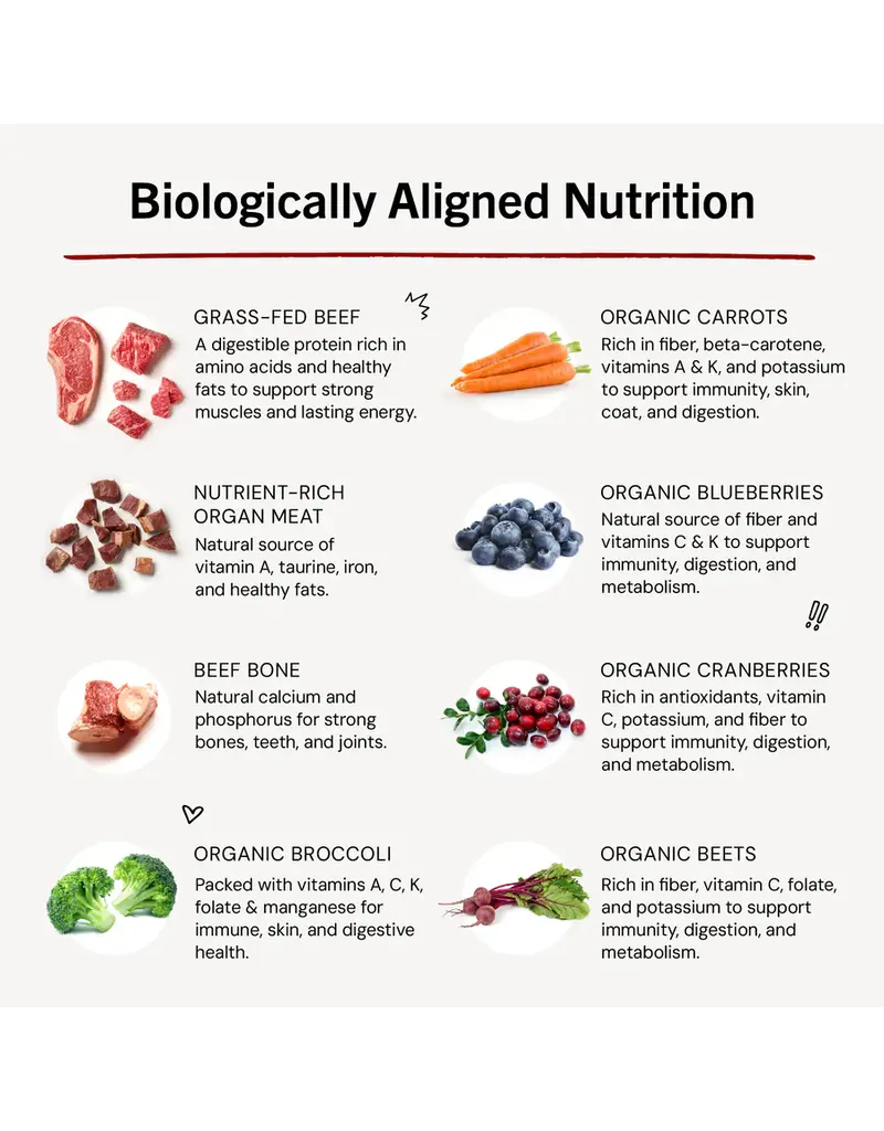 Stella & Chewys Stella & Chewy's Freeze Dried Raw Puppy Chicken and Salmon