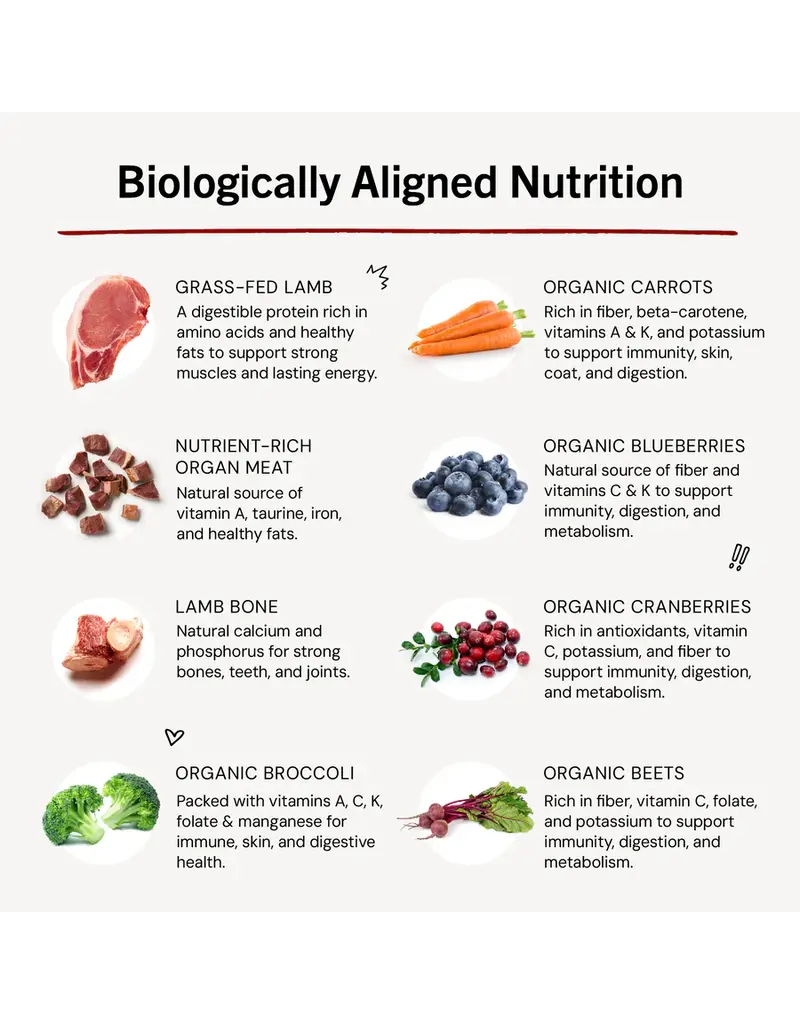 Stella & Chewys Stella & Chewy's Freeze Dried Raw Lamb