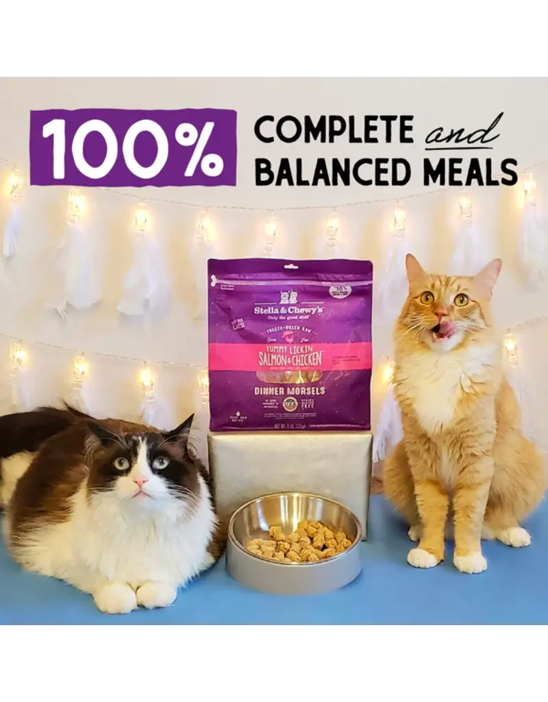 Stella & Chewys Stella & Chewy's Freeze Dried Raw Yummy Lickin Salmon and Chicken Cat Food