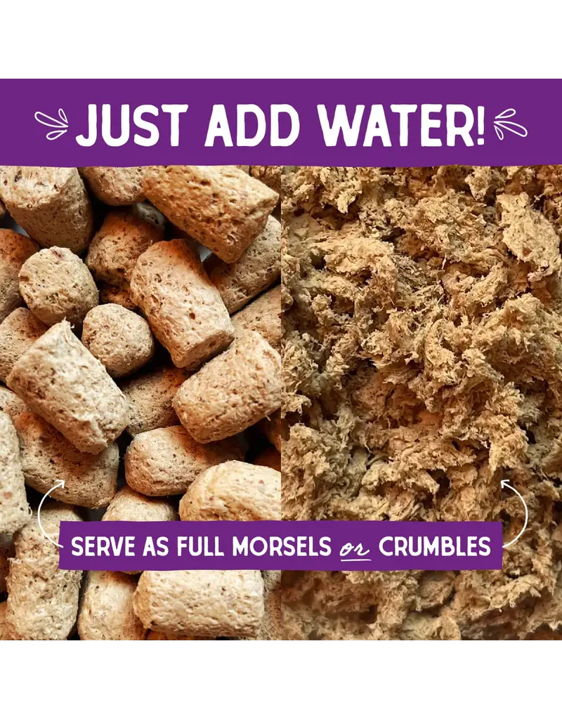 Stella & Chewys Stella & Chewy's Freeze Dried Raw Yummy Lickin Salmon and Chicken Cat Food