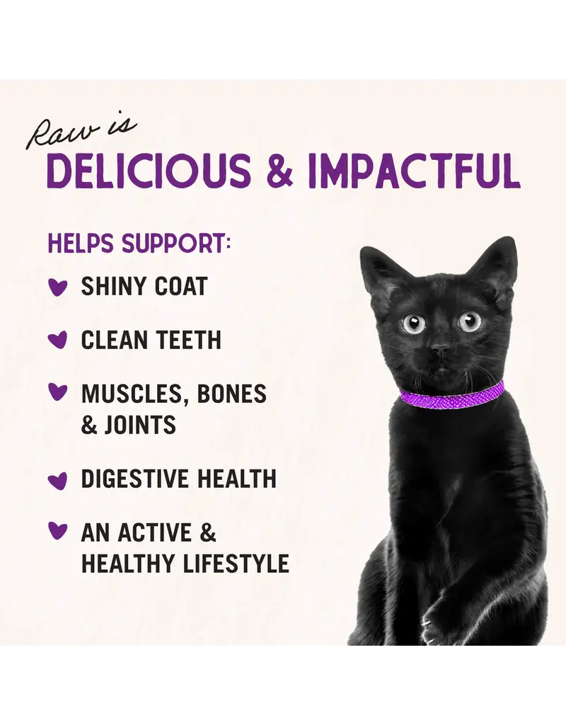 Stella & Chewys Stella & Chewy's Freeze Dried Raw Yummy Lickin Salmon and Chicken Cat Food