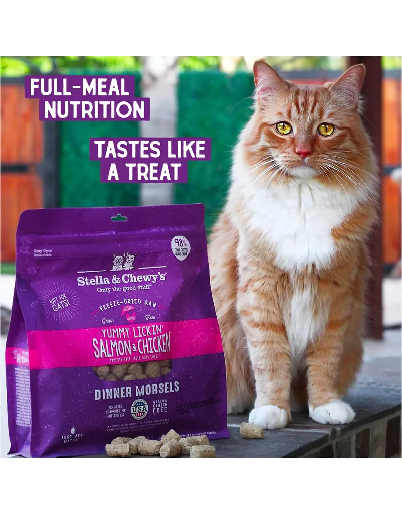 Stella & Chewys Stella & Chewy's Freeze Dried Raw Yummy Lickin Salmon and Chicken Cat Food