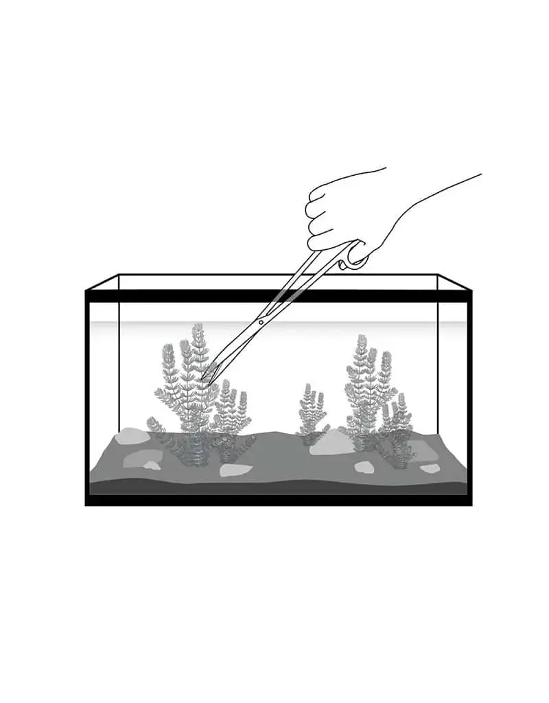 Fluval Fluval Curved Scissors 9.8 In