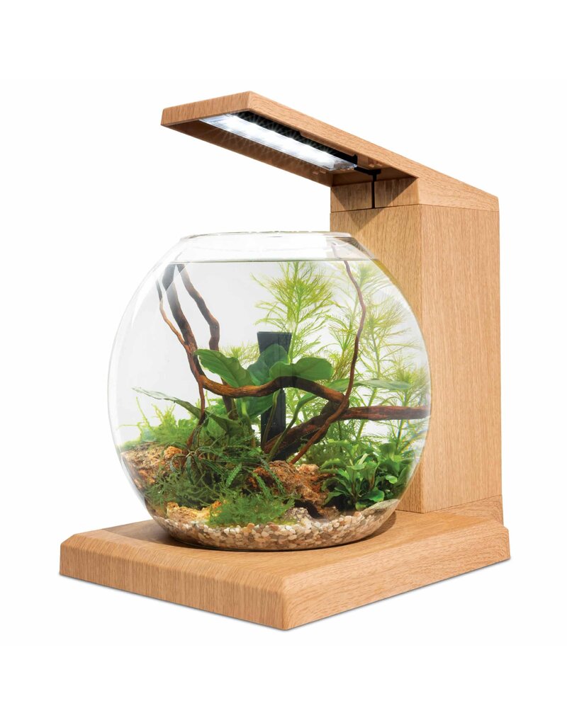 Fluval Fluval LIV Microscaping Aquarium Kit Teak 1.6 Gallon