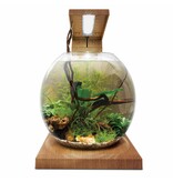Fluval Fluval LIV Microscaping Aquarium Kit Teak 1.6 Gallon