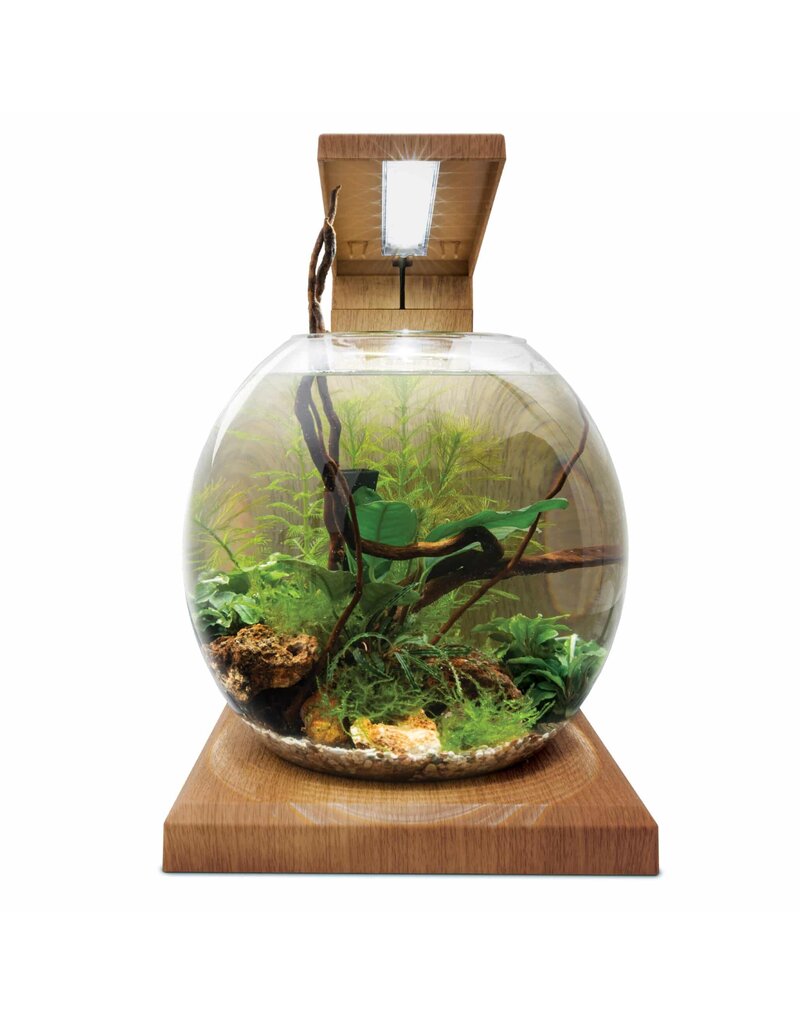 Fluval Fluval LIV Microscaping Aquarium Kit Teak 1.6 Gallon
