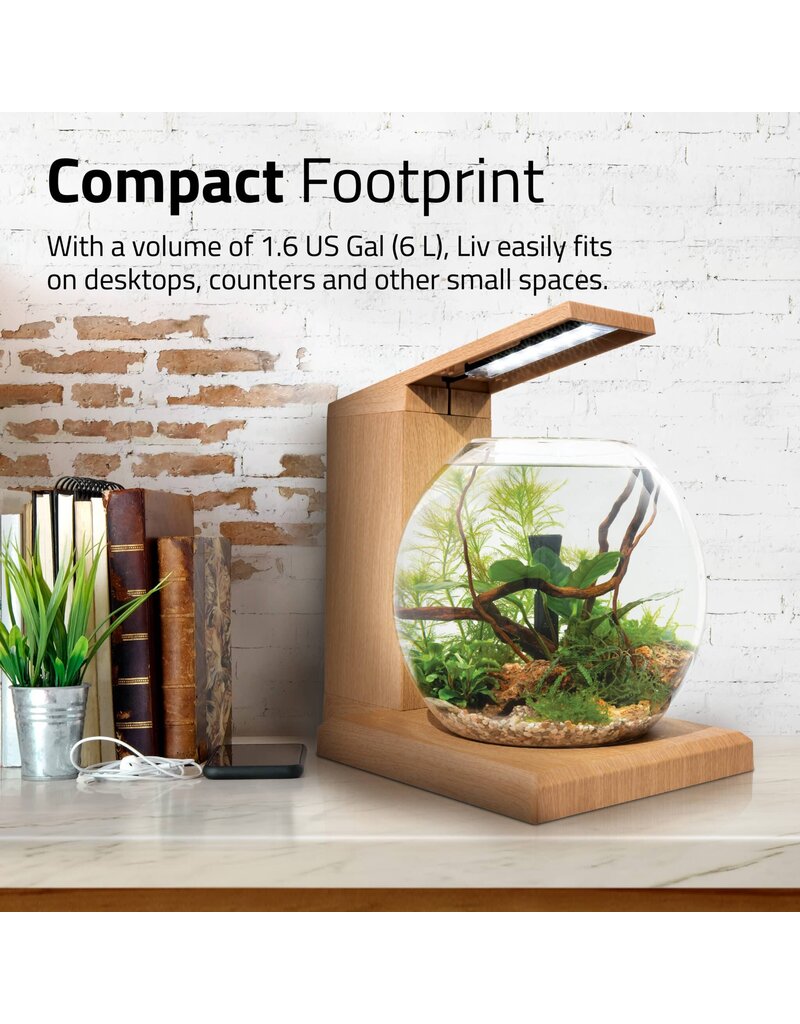Fluval Fluval LIV Microscaping Aquarium Kit Teak 1.6 Gallon