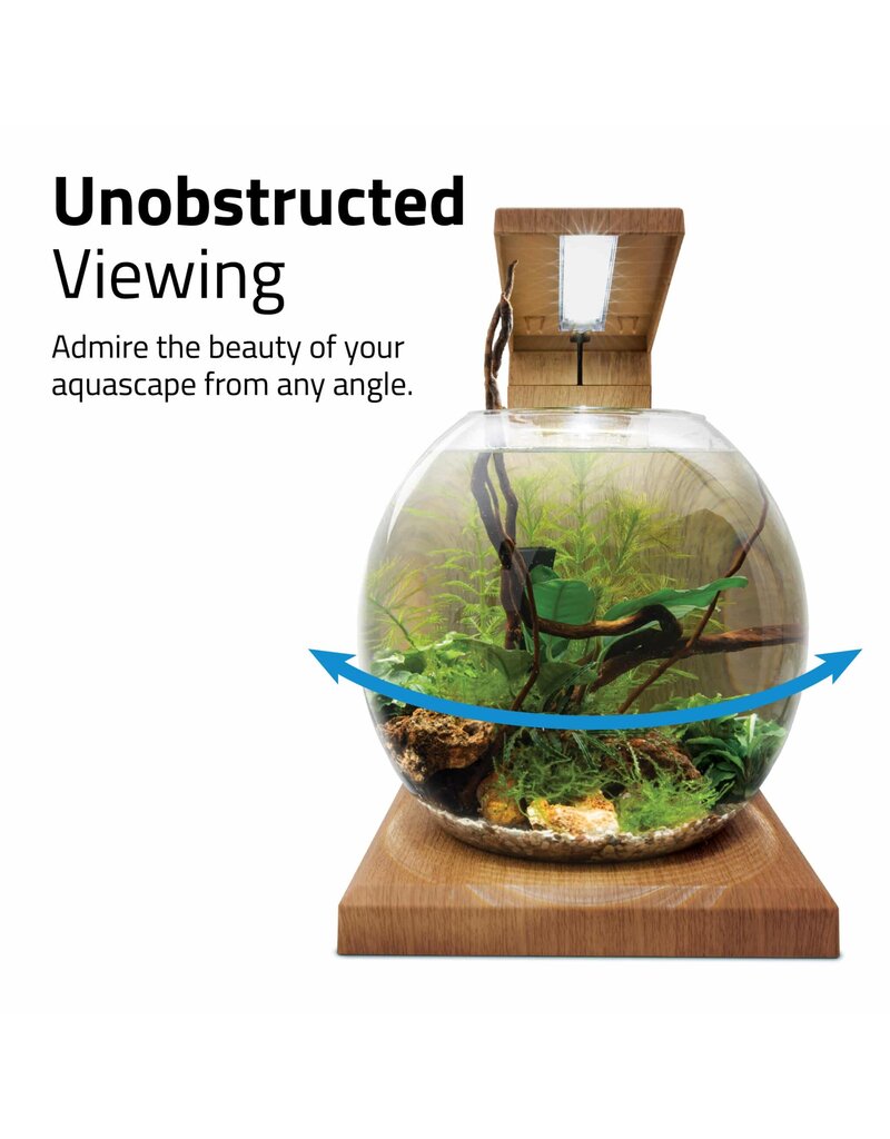 Fluval Fluval LIV Microscaping Aquarium Kit Teak 1.6 Gallon