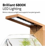 Fluval Fluval LIV Microscaping Aquarium Kit Teak 1.6 Gallon