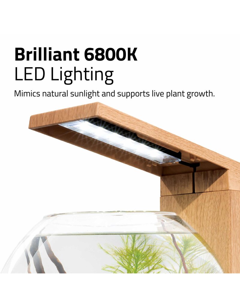 Fluval Fluval LIV Microscaping Aquarium Kit Teak 1.6 Gallon