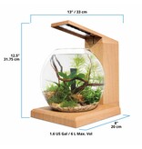 Fluval Fluval LIV Microscaping Aquarium Kit Teak 1.6 Gallon