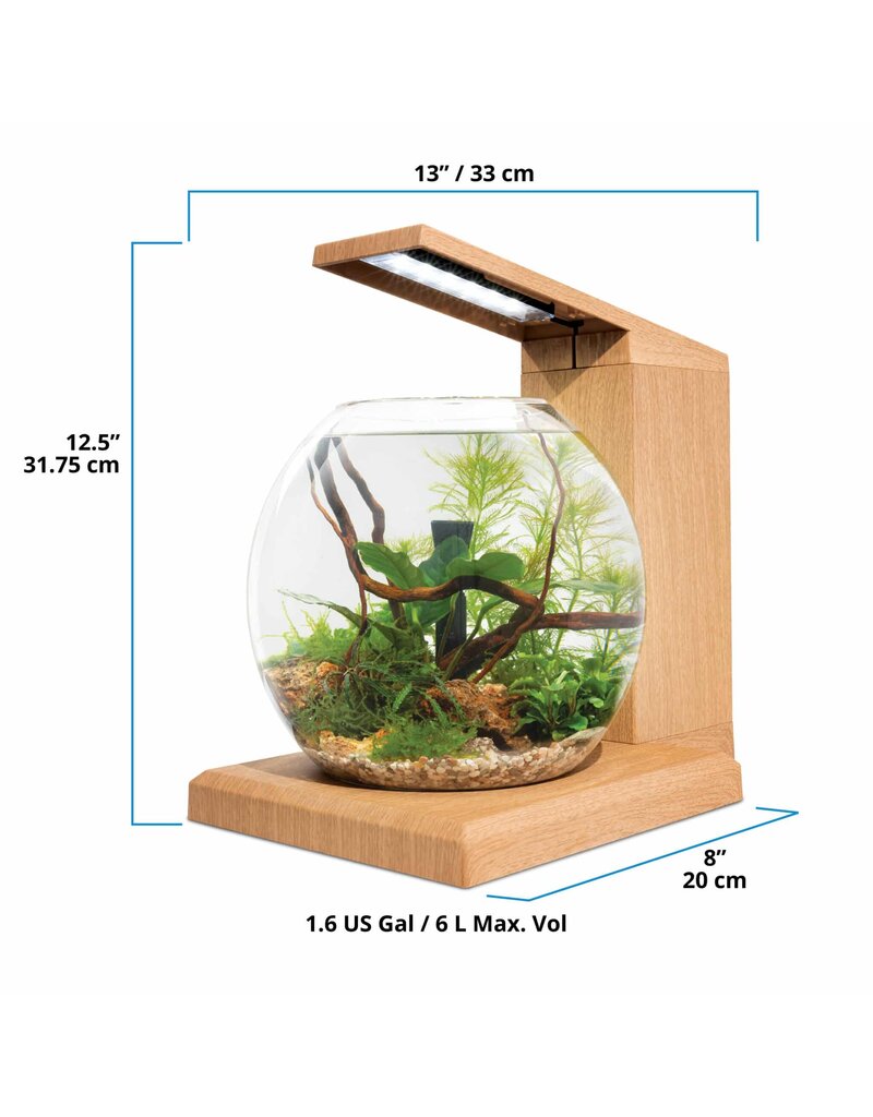 Fluval Fluval LIV Microscaping Aquarium Kit Teak 1.6 Gallon
