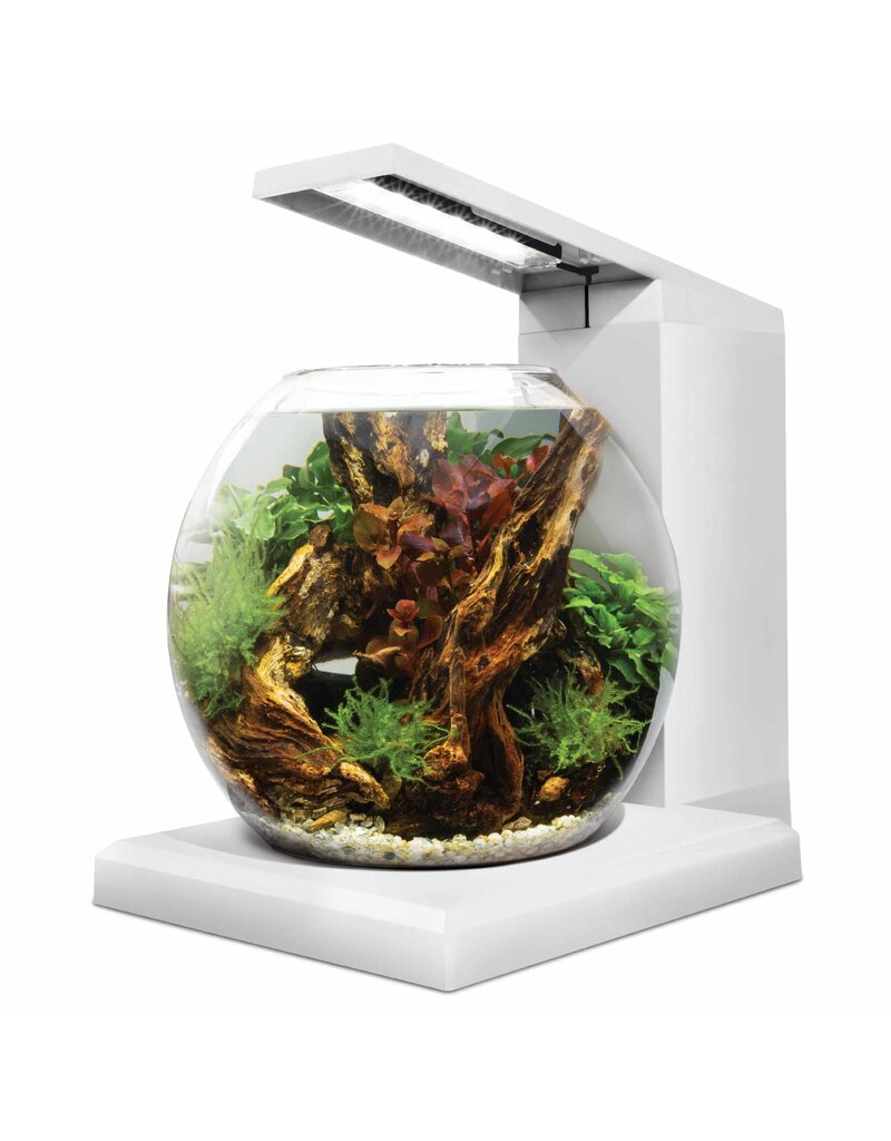 Fluval Fluval LIV Microscaping Aquarium Kit White 1.6 Gallon