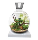 Fluval Fluval LIV Microscaping Aquarium Kit White 1.6 Gallon