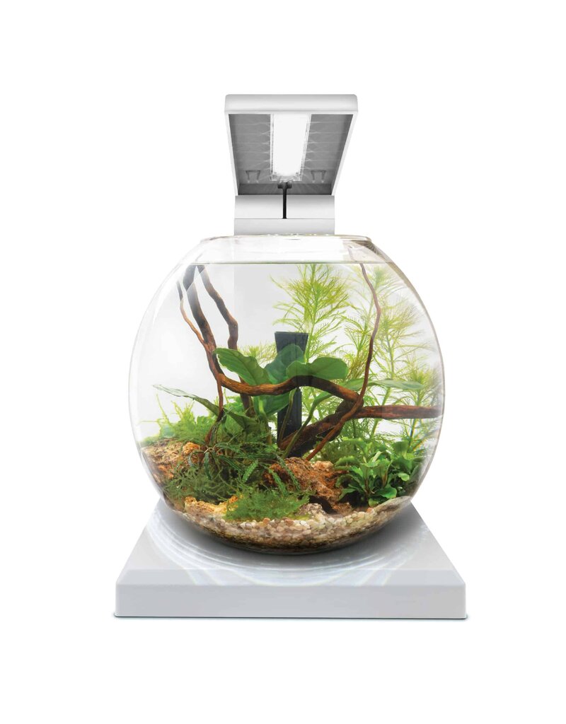 Fluval Fluval LIV Microscaping Aquarium Kit White 1.6 Gallon