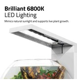 Fluval Fluval LIV Microscaping Aquarium Kit White 1.6 Gallon