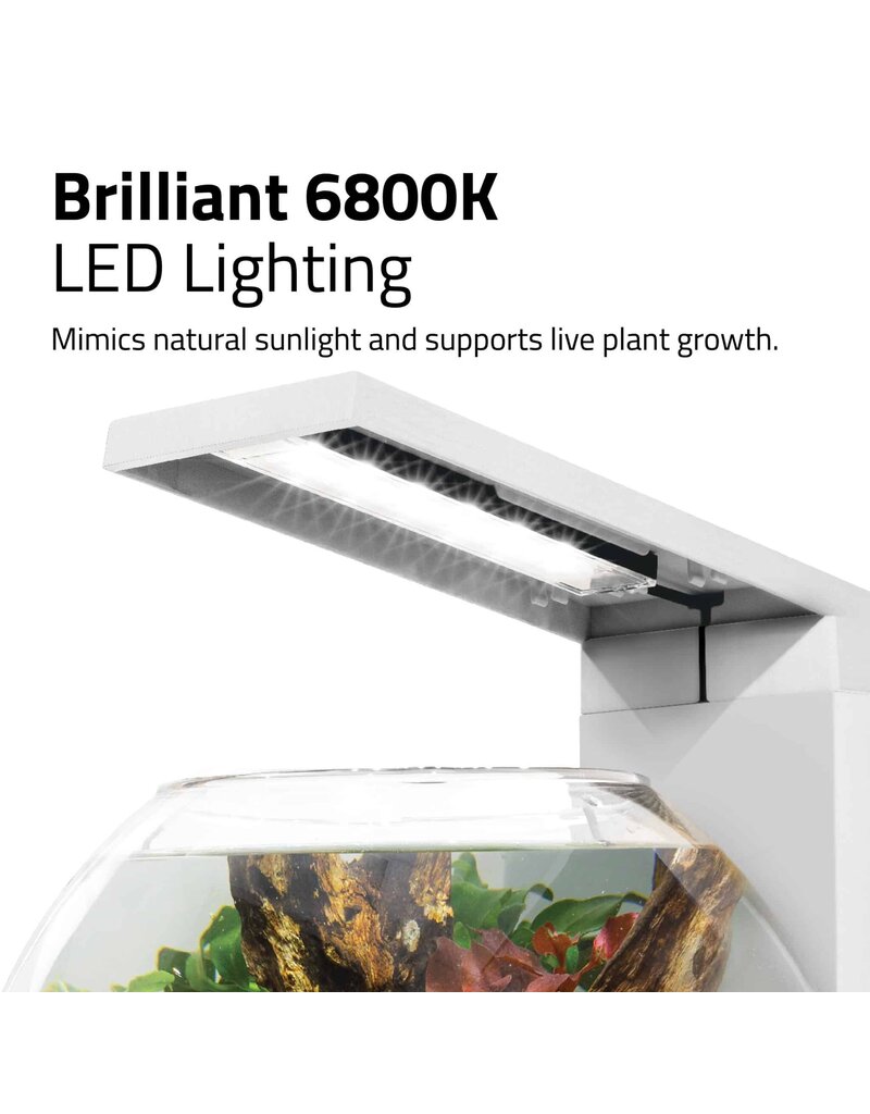 Fluval Fluval LIV Microscaping Aquarium Kit White 1.6 Gallon