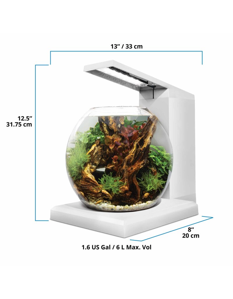 Fluval Fluval LIV Microscaping Aquarium Kit White 1.6 Gallon
