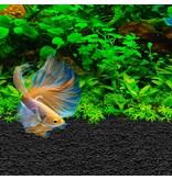Fluval Fluval Betta Stratum 1.76 Lb