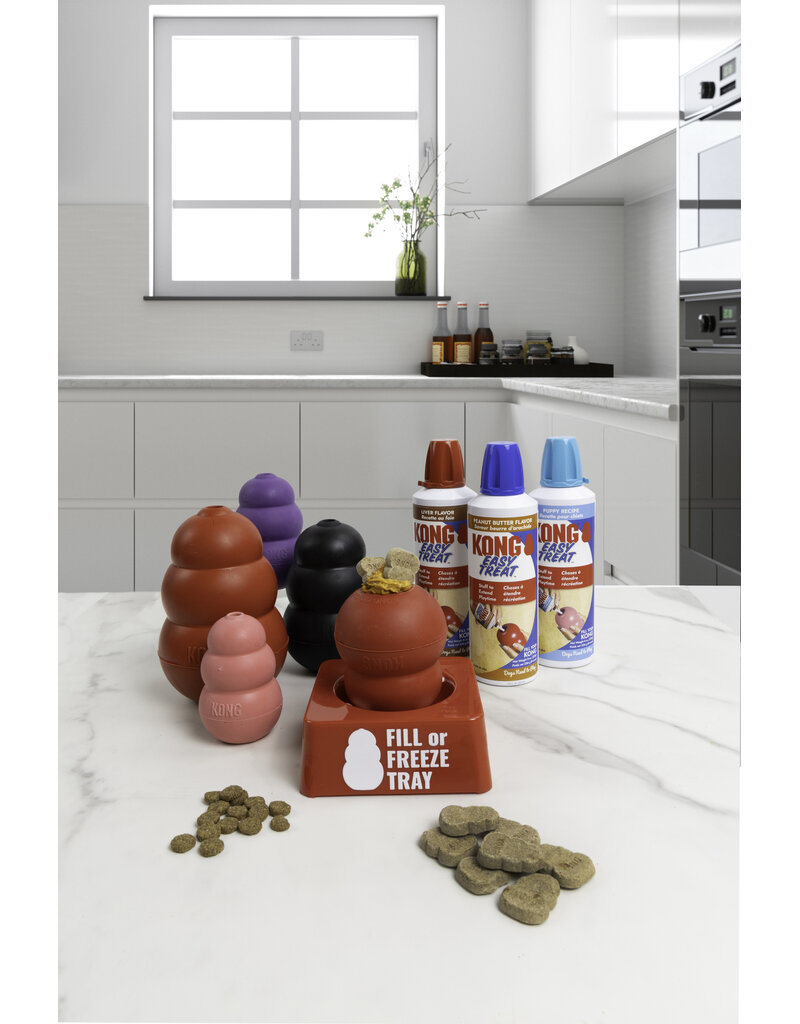 Kong Company Kong Fill or Freeze Tray Single