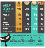 Tiki Pet Tiki Cat Solutions Topper Skin & Coat Salmon in Broth 1.5 Oz pouch