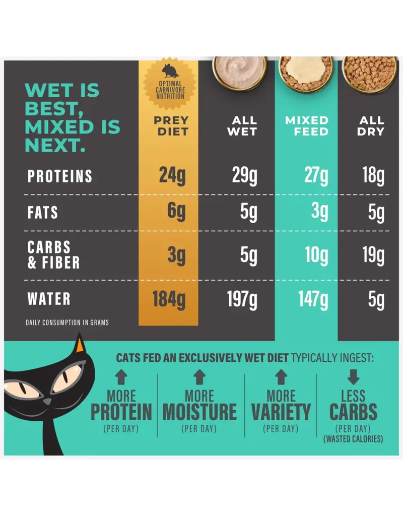 Tiki Pet Tiki Cat Solutions Topper Skin & Coat Salmon in Broth 1.5 Oz pouch