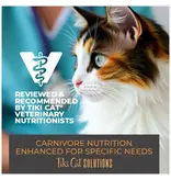 Tiki Pet Tiki Cat Solutions Topper Skin & Coat Salmon in Broth 1.5 Oz pouch