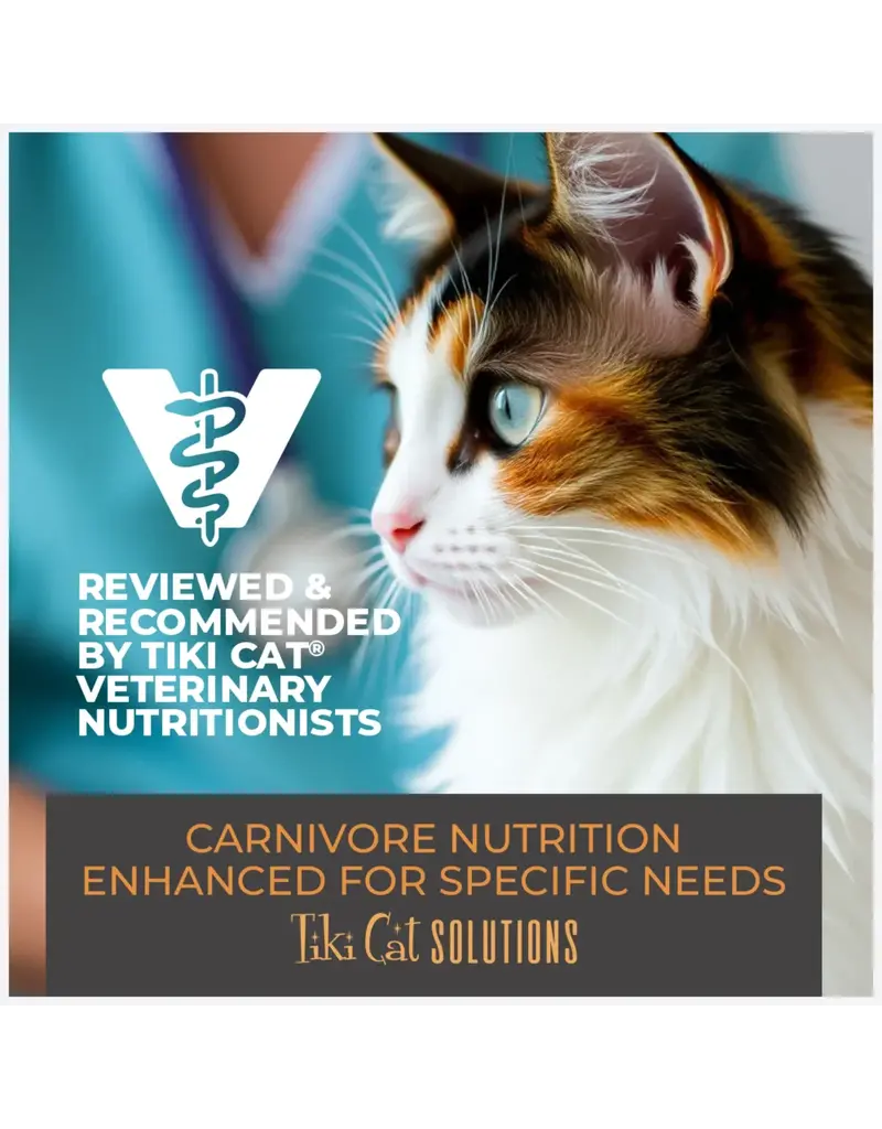 Tiki Pet Tiki Cat Solutions Topper Skin & Coat Salmon in Broth 1.5 Oz pouch