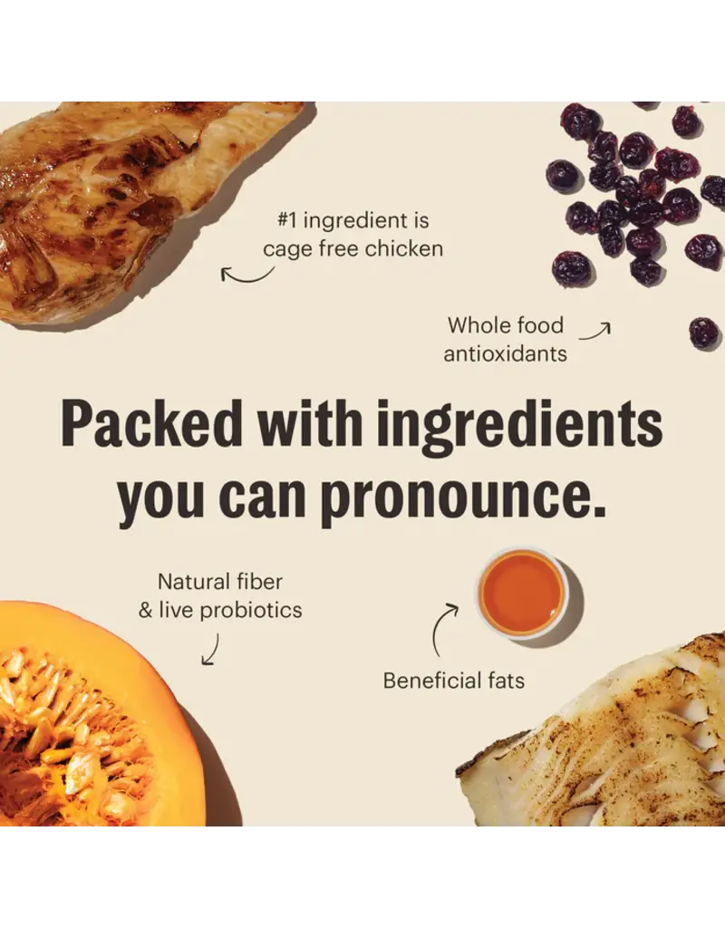 Honest Kitchen Honest Kitchen Whole Food Clusters Grain Free Chicken & Whitefish Cat Food