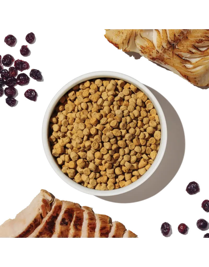 Honest Kitchen Honest Kitchen Whole Food Clusters Grain Free Chicken & Whitefish Cat Food