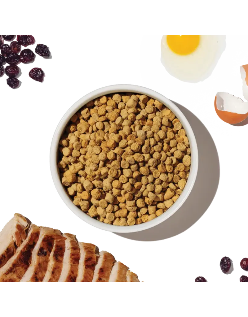 Honest Kitchen HK Grain Free Clusters Chicken Dry Cat Food 4 Lb