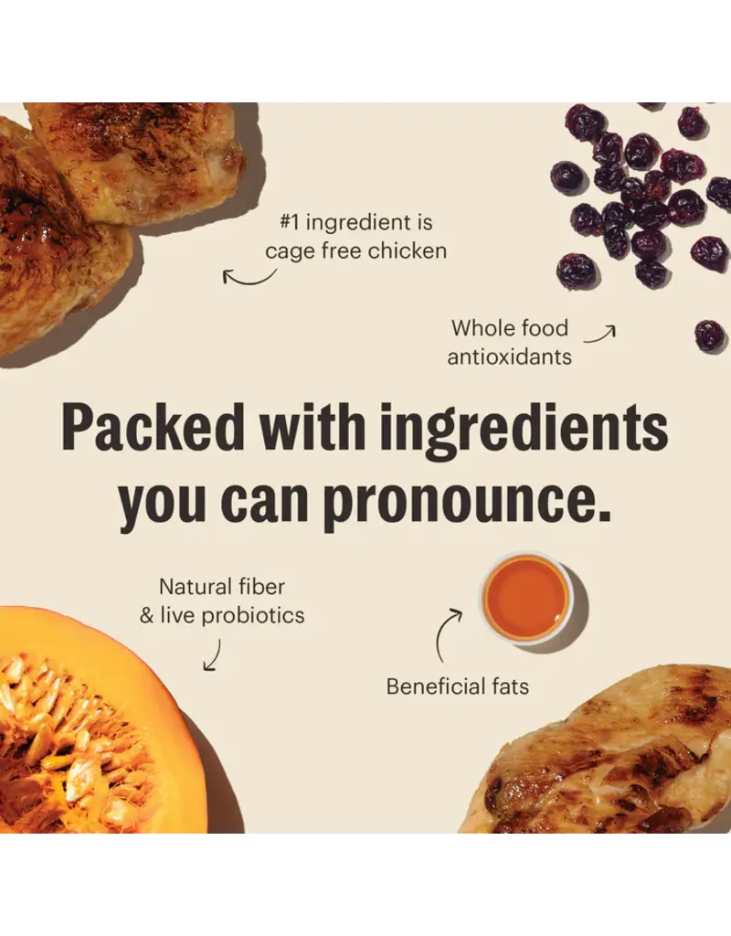 Honest Kitchen HK Grain Free Clusters Chicken Dry Cat Food 4 Lb