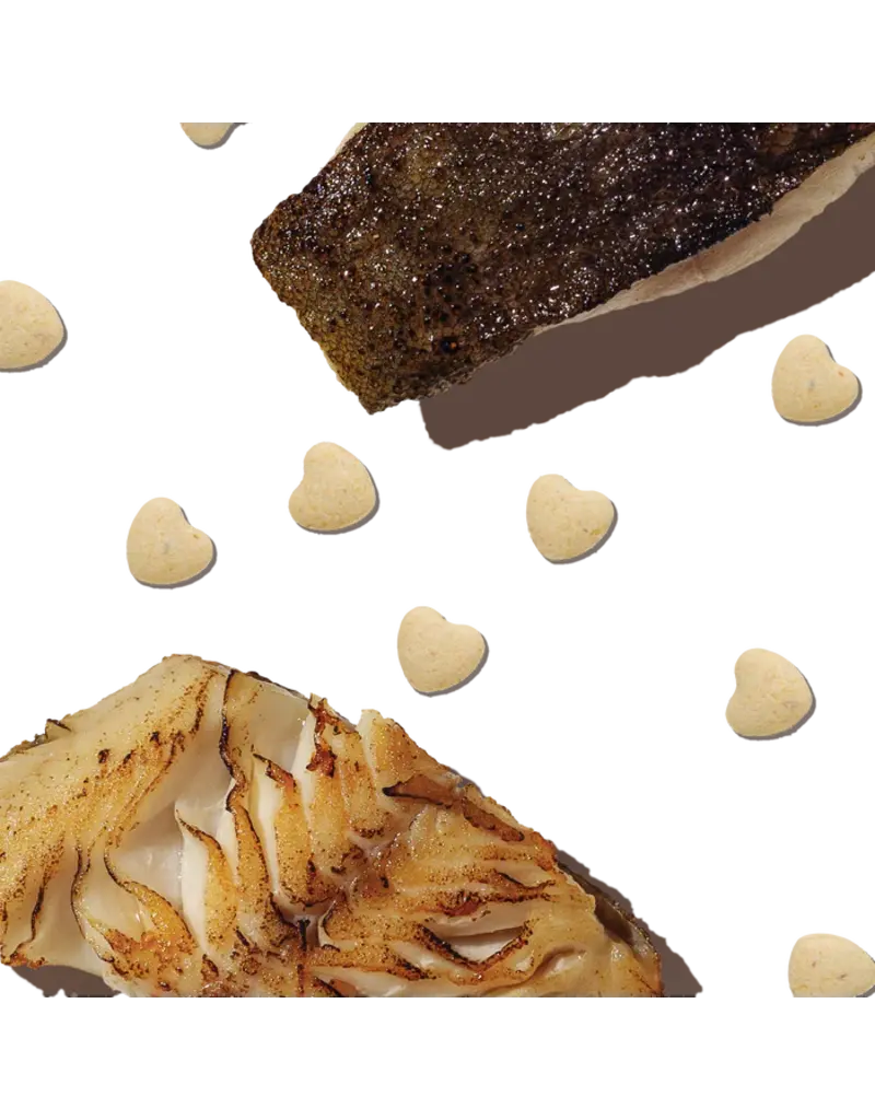 Honest Kitchen HK Kitten Smittens Dehydrated White Fish Treats 1.5 Oz