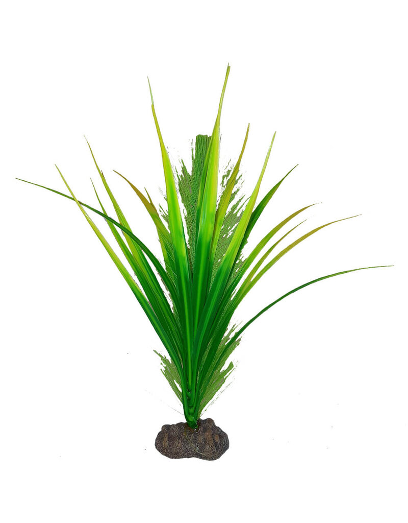 Fluval Fluval Betta Parrot Plant 8 In